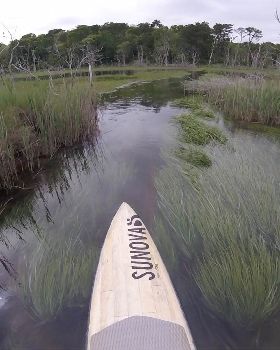 Stand Up Paddle