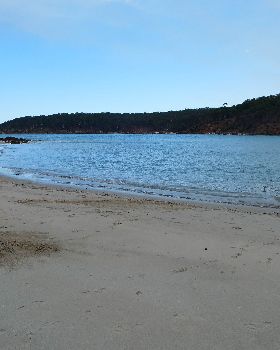 P1010085
