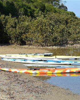 Stand Up Paddle