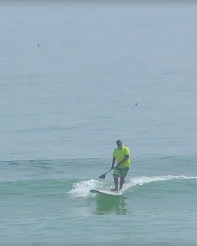 Stand Up Paddle