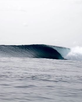 3K0A0256