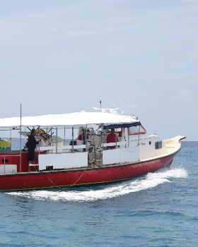 3K0A7586