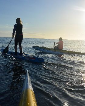 Stand Up Paddle