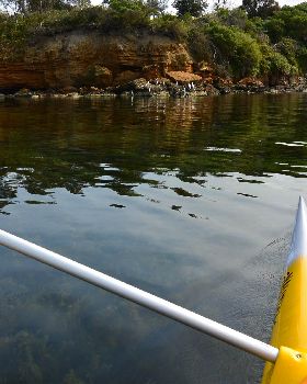 Stand Up Paddle