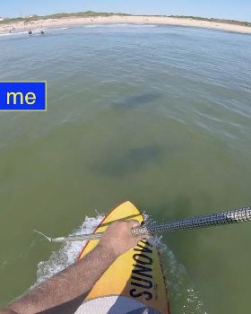 Stand Up Paddle