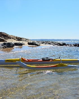 Stand Up Paddle