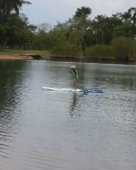 Stand Up Paddle