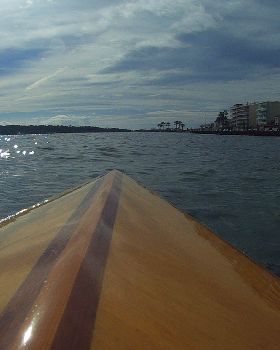 Palm beach paddle