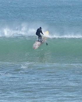 Stand Up Paddle