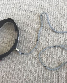 Full leash and photo of bungee inside braid exposed.