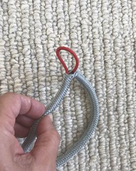 Full leash and photo of bungee inside braid exposed.