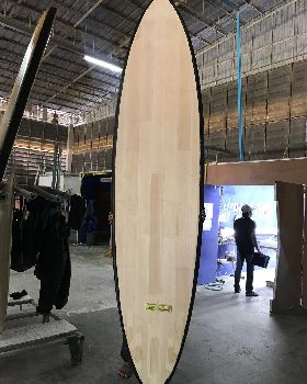 Stand Up Paddle