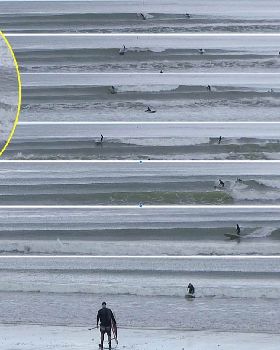 Stand Up Paddle