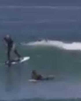 Stand Up Paddle