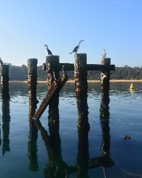 Stand Up Paddle