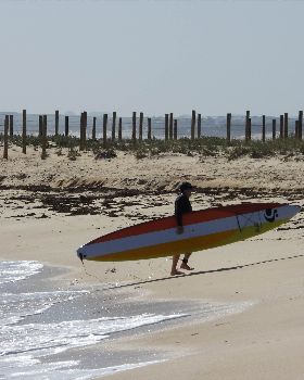Stand Up Paddle