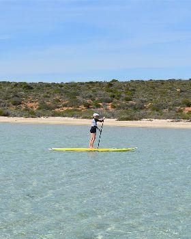 Stand Up Paddle