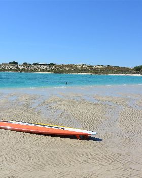 Stand Up Paddle