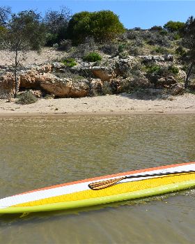 Stand Up Paddle