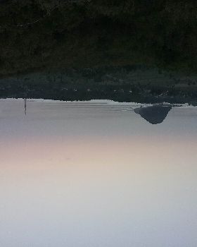 20190722 054017