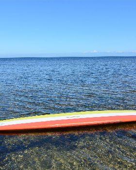 Stand Up Paddle
