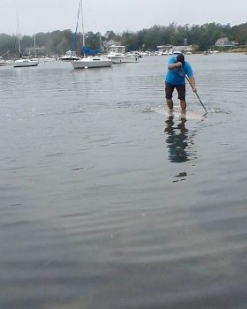 Stand Up Paddle