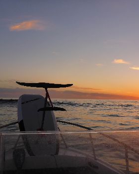 Stand Up Paddle