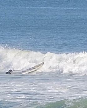 Stand Up Paddle