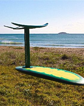 Stand Up Paddle