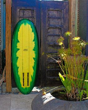Stand Up Paddle