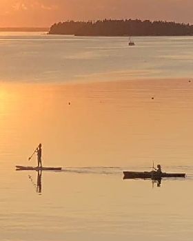 Stand Up Paddle