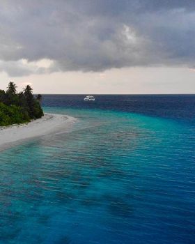 Maldives SUP Surfing