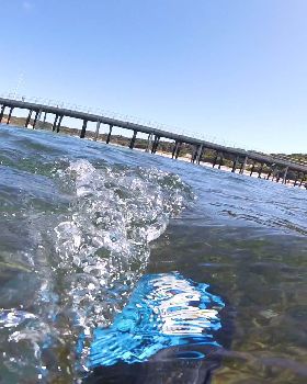Stand Up Paddle