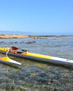 Stand Up Paddle