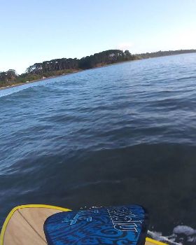 Stand Up Paddle