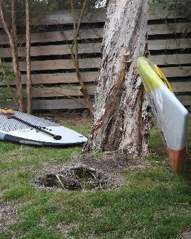 Stand Up Paddle