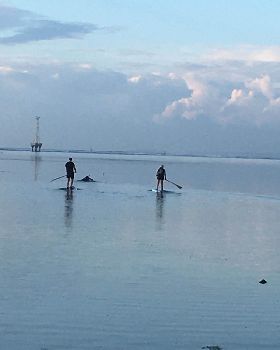 Stand Up Paddle