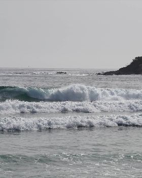 DSC04099
