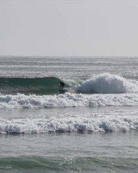 DSC04101