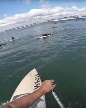 Stand Up Paddle