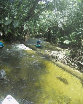 Whitewater SUP Mossman River