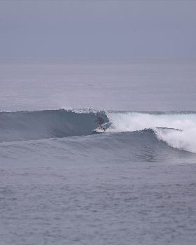 few pic's