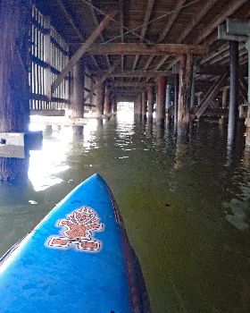Stand Up Paddle