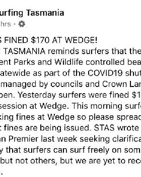 wedge