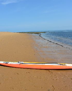 Stand Up Paddle