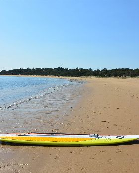 Stand Up Paddle