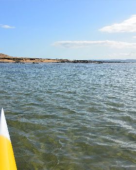 Stand Up Paddle