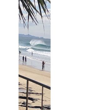 Stand Up Paddle