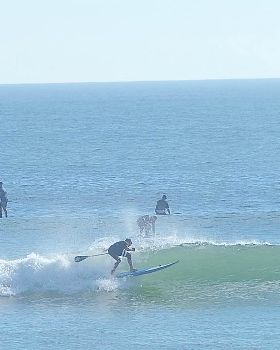 Stand Up Paddle