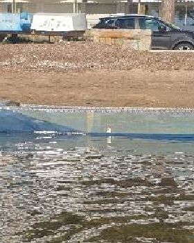 20200524191553resize51